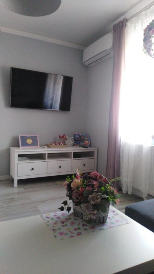 Apartament Antek Klimatyzowany Освенцім Екстер'єр фото