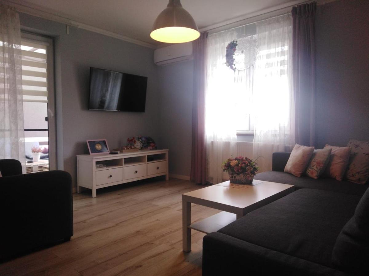 Apartament Antek Klimatyzowany Освенцім Екстер'єр фото