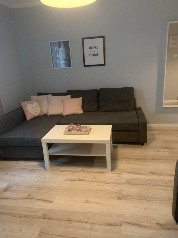 Apartament Antek Klimatyzowany Освенцім Екстер'єр фото