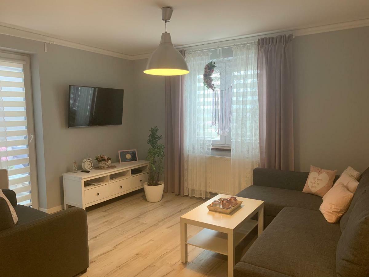 Apartament Antek Klimatyzowany Освенцім Екстер'єр фото