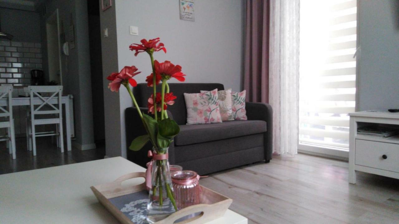 Apartament Antek Klimatyzowany Освенцім Екстер'єр фото